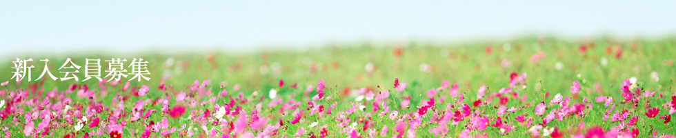 新入会員募集